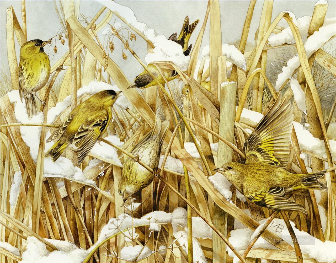 february birds Oil Paintings